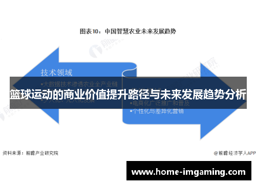 篮球运动的商业价值提升路径与未来发展趋势分析