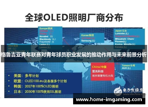 格鲁吉亚青年联赛对青年球员职业发展的推动作用与未来前景分析