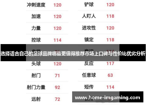 选择适合自己的足球品牌哪些更值得推荐市场上口碑与性价比优劣分析